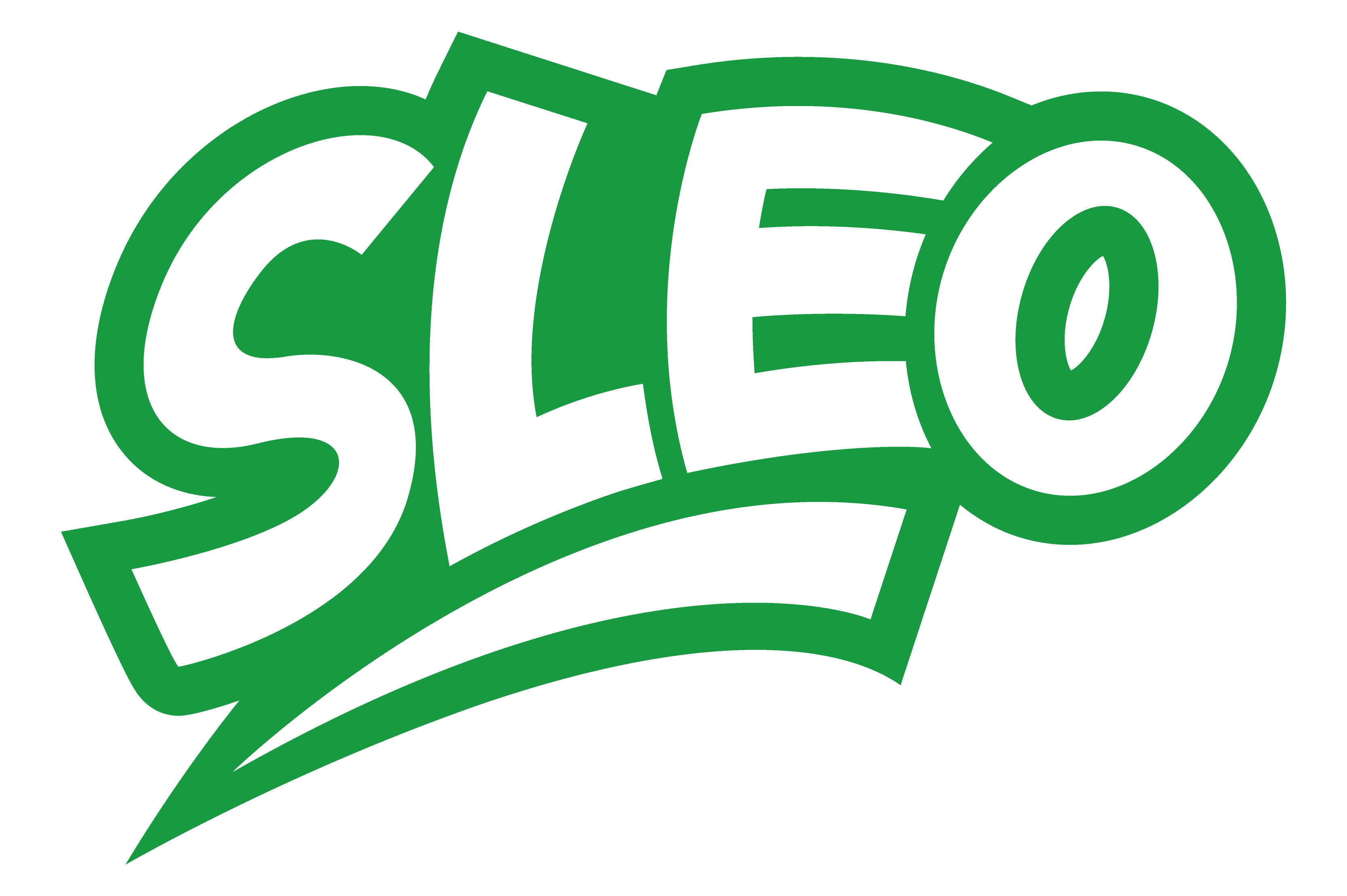 Sleo Brand Logo